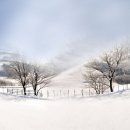 강원목장 이미지