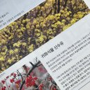소창한의원 네이버블로그