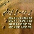 행복하게 사는 333의 법칙 이미지