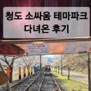 소싸움테마파크 | 주말에 소싸움 테마파크에 다녀왔습니다.