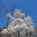 에덴자동차공업사 이미지