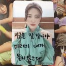 고마워, 강아지 이미지