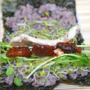 새싹꼬마김밥 - 천안시 동남구 중앙로 262 | 새싹꼬마김밥