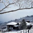 안성면109 네이버블로그