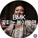 브라소닛 빅밴드 Bmk콘서트 공연 이미지