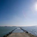 대교태양광발전소 이미지