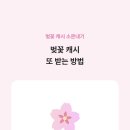카카오뱅크 벚꽃 키우고 캐시 받기 이미지