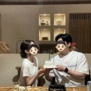 선셋티아 이미지