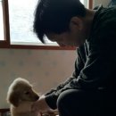 하늘아래 첫동네 꿩밭 이미지