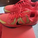 [275] 코비 6 오렌지, 코비 5 레드, 나이키 지티컷 3 블루프린트 이미지