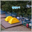 편백숲 | 통영 캠핑 추천 편백숲길캠핑장 해산물 불멍 캠핑후기