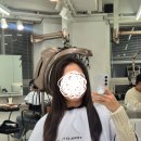 트림디헤어(Trim:D hair)