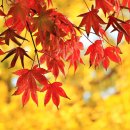 금강로59번길 이미지