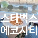 이디야커피전주에코로마네시티점 | 전주 에코시티 로마네시티 카페 스타벅스 전주에코시티점 혼카페 후기 신메뉴 프렌즈 시나몬 돌체폼...