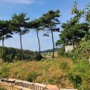 무창포공인중개사사무소 이미지