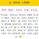 MBTI로통하는법 | 사주아이 990원 내돈내산 후기 인터넷 사주 신년운세