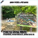 구미 아이랑 가볼만한 곳. 천생산성 산림욕장 유아숲 체험원 놀이시설