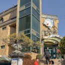 제주복국 | 부산) 영도 복국 맛집 제주복국｜현지인 단골 생참복지리탕 후기