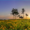 포리 소공원 이미지