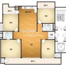 사파동114 이미지