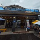 도산리 | 고창 가볼만한곳🚗 고인돌유적지 전북여행코스 추천