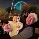 은진다방 | 평택신점) 용인 에버랜드, 손녀들과 설레는 데이트💕
