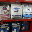 플러스 애견미용실 이미지