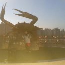 댄스스포츠(야간) 이미지