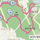 맛집정보/서울 벚꽃길 주변 맛집2-남산 벚꽃 길 이미지