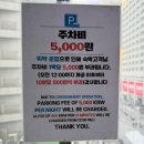 소망애견 | 부산애견호텔 찾는다면? 해운대 선셋호텔 반려견동반 솔직후기