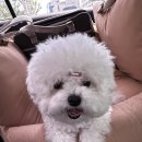 윤경목장 이미지