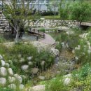 태백실비식당 이미지