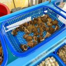 돌섬횟집 이미지