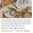 취향을 빚다 핸드페인팅 도자기 | 서울 성인 도자기 공방 물레, 핸드빌딩, 핸드페인팅 수업 후기가 가득한 송파 주빌리 세라믹 스튜디오!