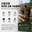 더드림행정사합동사무소 | 산림조합 외국인 고용 가능할까? 벌목·조림 외국인 비자·4대보험 주의사항