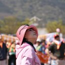 대성체육관 (태권도) 이미지