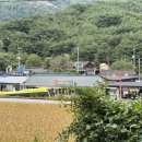 소요막국수초계탕 - 동두천시 평화로 2914-17 | [경남/함양] 황석산 등산 후, 시원한 음식이 생각날 때 - 농월초계탕막국수