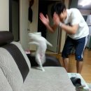 아쿠아마린 글램핑 이미지