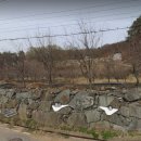 안금농장 네이버블로그