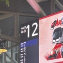 너구리 유격대 | [홍성 유기견 보호소] 금일동물보호센터 봉사 후기 🍀 (with. 너구리유격대)