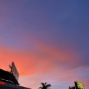 주식회사 불스아이 | 디즈니랜드