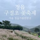 정읍 식자재 마트 | [정읍 가을여행] 2025 정읍 구절초 축제 후기｜흐린 날에도 예쁜 꽃길, 가족 힐링 명소