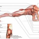 BODY-GYM 이미지