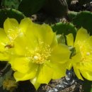 병훈농장 이미지