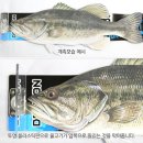 D-델리 이미지