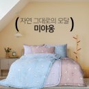 미야옹 이미지