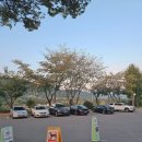 동읍1177 이미지