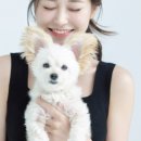 순심이네 펫살롱 이미지