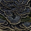 성지농장 이미지