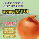 바이오농자재 | 떡잎부터 달랐던, 테라마루도꾸이 양파 수확 현장 르포